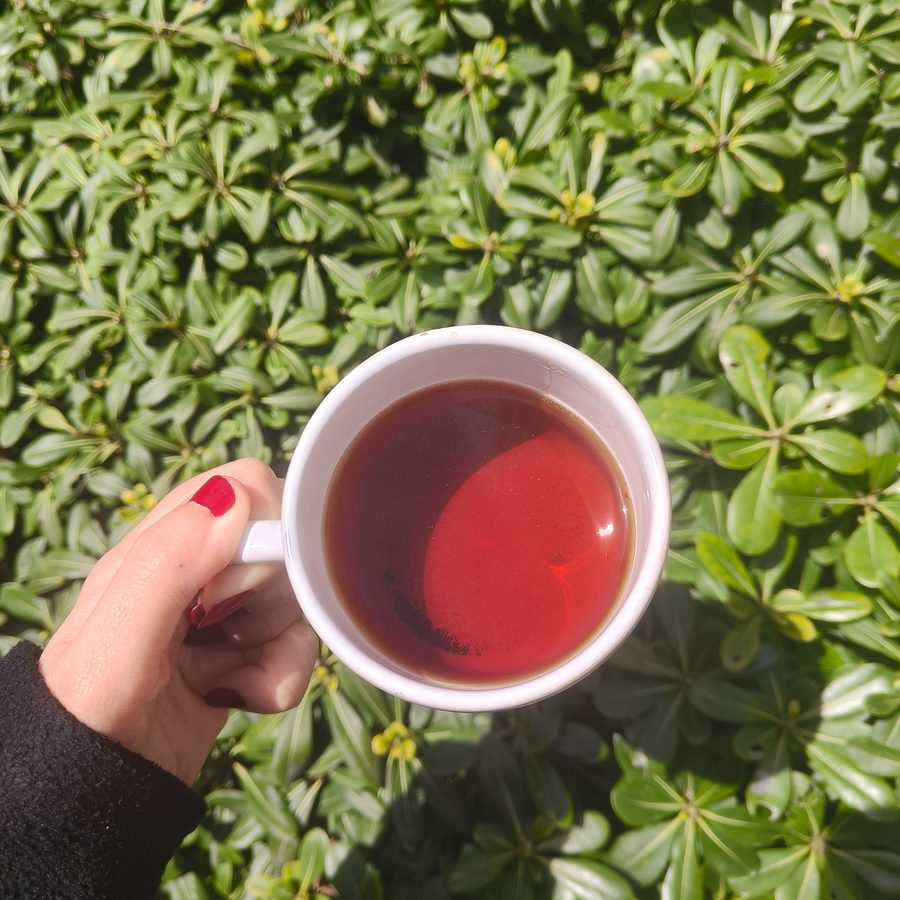 Close-up of hands holding a cup of tea in the garden