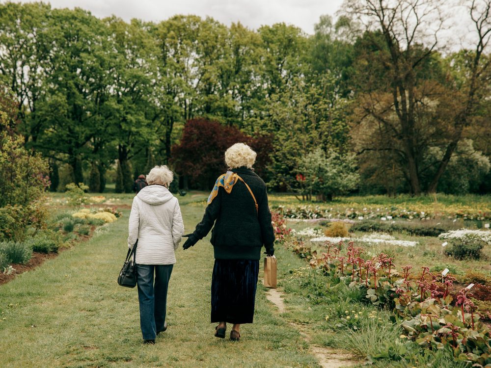 Two people walking together in a garden